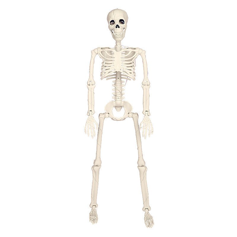 90cm Warm Light Stand - able Hanging Halloween Luminous Skeleton - Blount Express90cm Warm Light Stand - able Hanging Halloween Luminous Skeleton090cm Warm Light Stand - able Hanging Halloween Luminous SkeletonCJJT211607501AZ