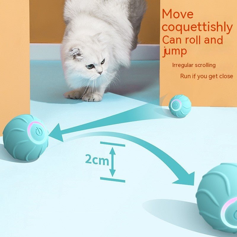 Smart Cat Toys Rolling Ball Pet Cat Owner Interactive Pets Toys Automatic Bouncing Ball USB Self Hi Teasing Kittens Jumping Ball - Blount ExpressSmart Cat Toys Rolling Ball Pet Cat Owner Interactive Pets Toys Automatic Bouncing Ball USB Self Hi Teasing Kittens Jumping BallPetSmart Cat Toys Rolling Ball Pet Cat Owner Interactive Pets Toys Automatic Bouncing Ball USB Self Hi Teasing Kittens Jumping BallCJMY194834801AZ