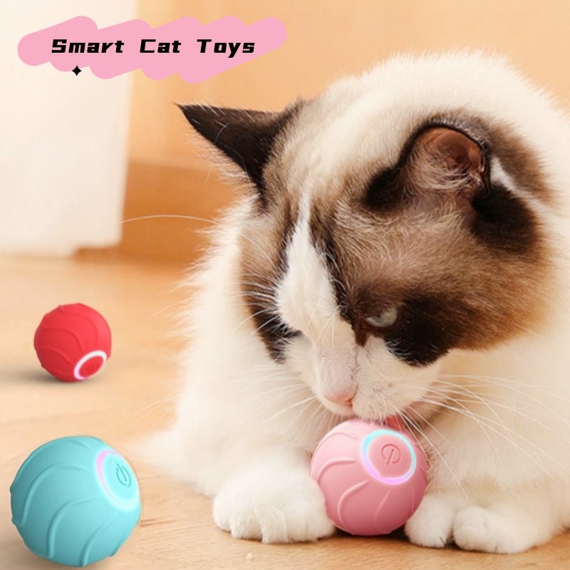 Smart Cat Toys Rolling Ball Pet Cat Owner Interactive Pets Toys Automatic Bouncing Ball USB Self Hi Teasing Kittens Jumping Ball - Blount ExpressSmart Cat Toys Rolling Ball Pet Cat Owner Interactive Pets Toys Automatic Bouncing Ball USB Self Hi Teasing Kittens Jumping BallPetSmart Cat Toys Rolling Ball Pet Cat Owner Interactive Pets Toys Automatic Bouncing Ball USB Self Hi Teasing Kittens Jumping BallCJMY194834801AZ